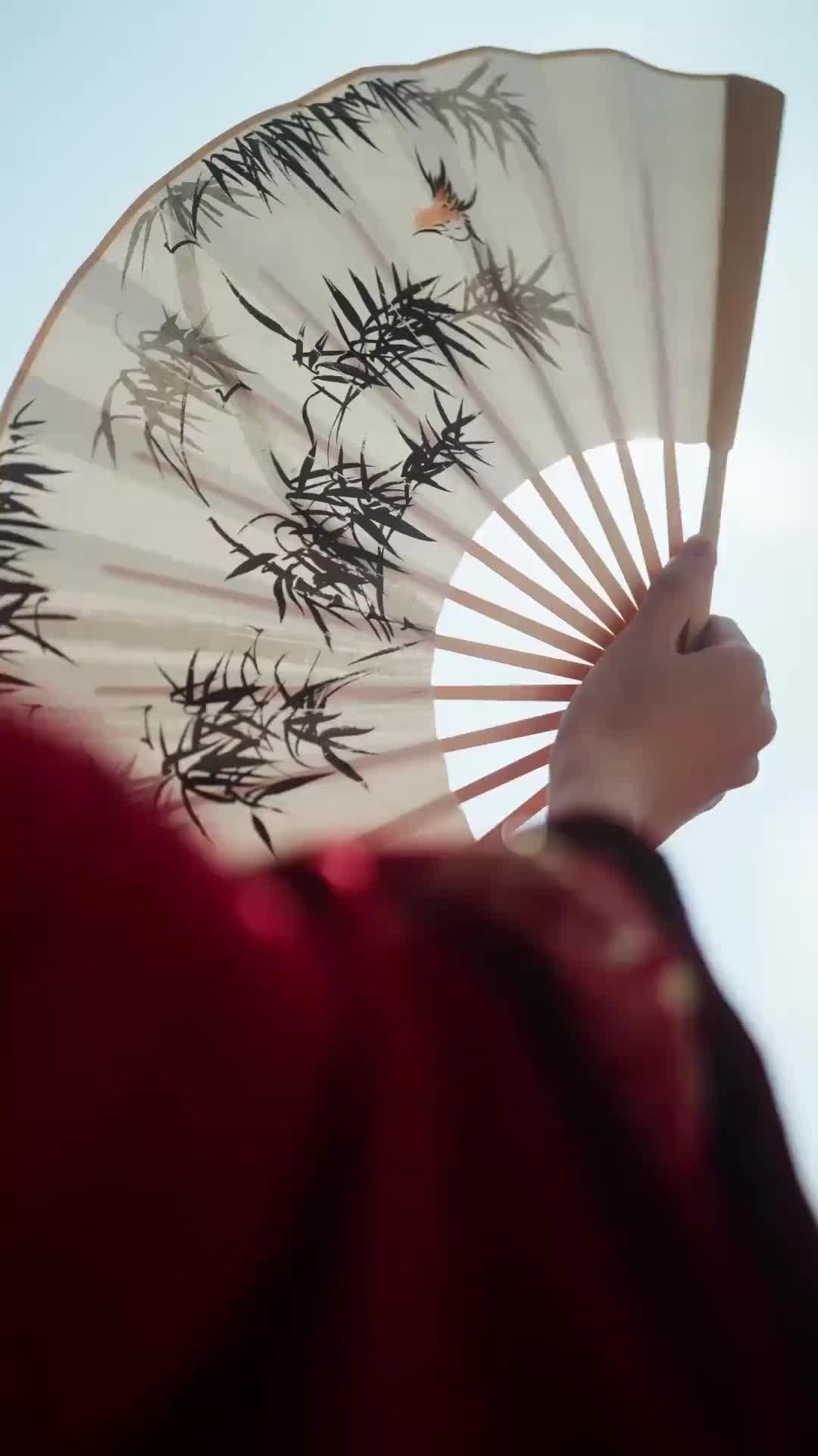 La Duchessa e il Ribelle