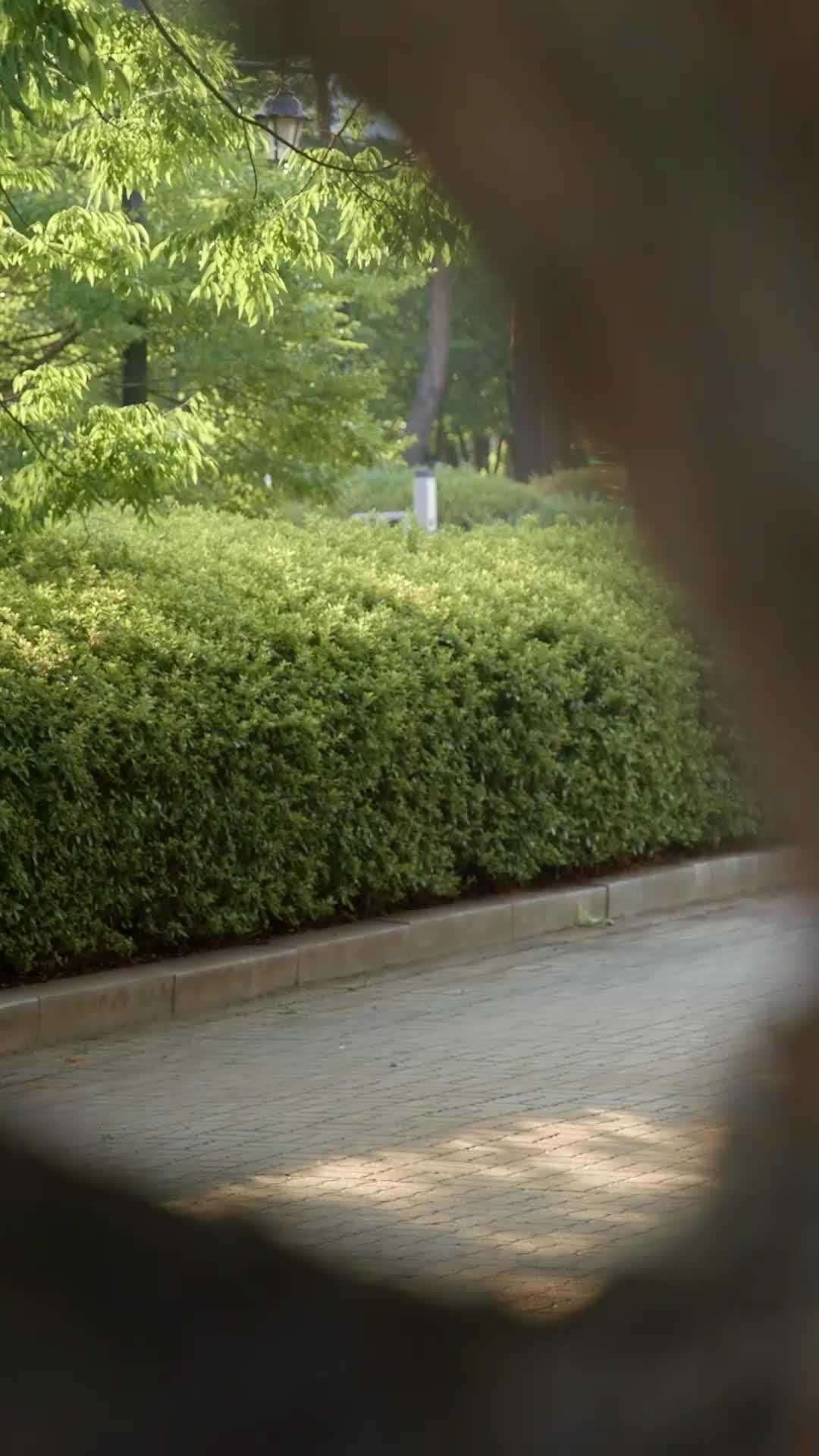 不戀愛就刪檔