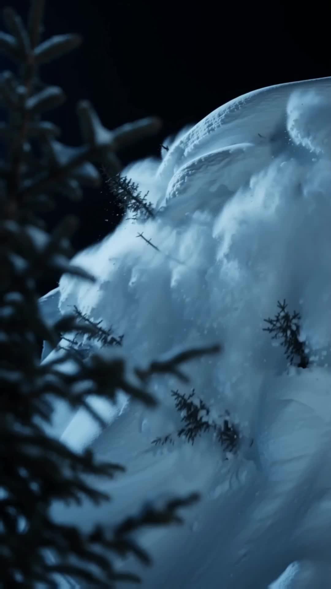 L'OMBRE DE LA FORÊT