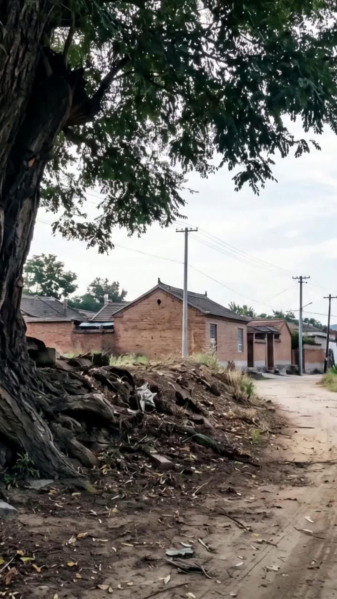 青山沐光