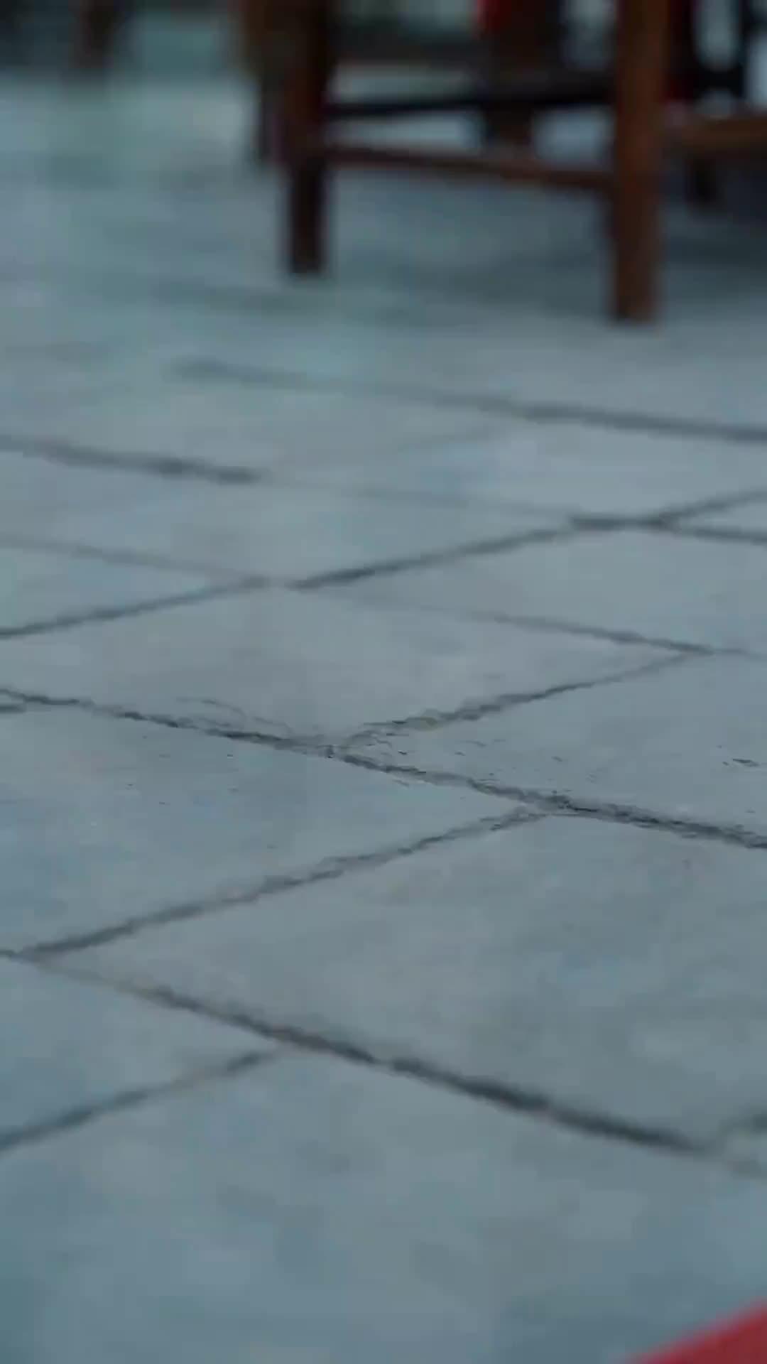 (Dubbing) Puteri Tersembunyi, Pewaris Sejati