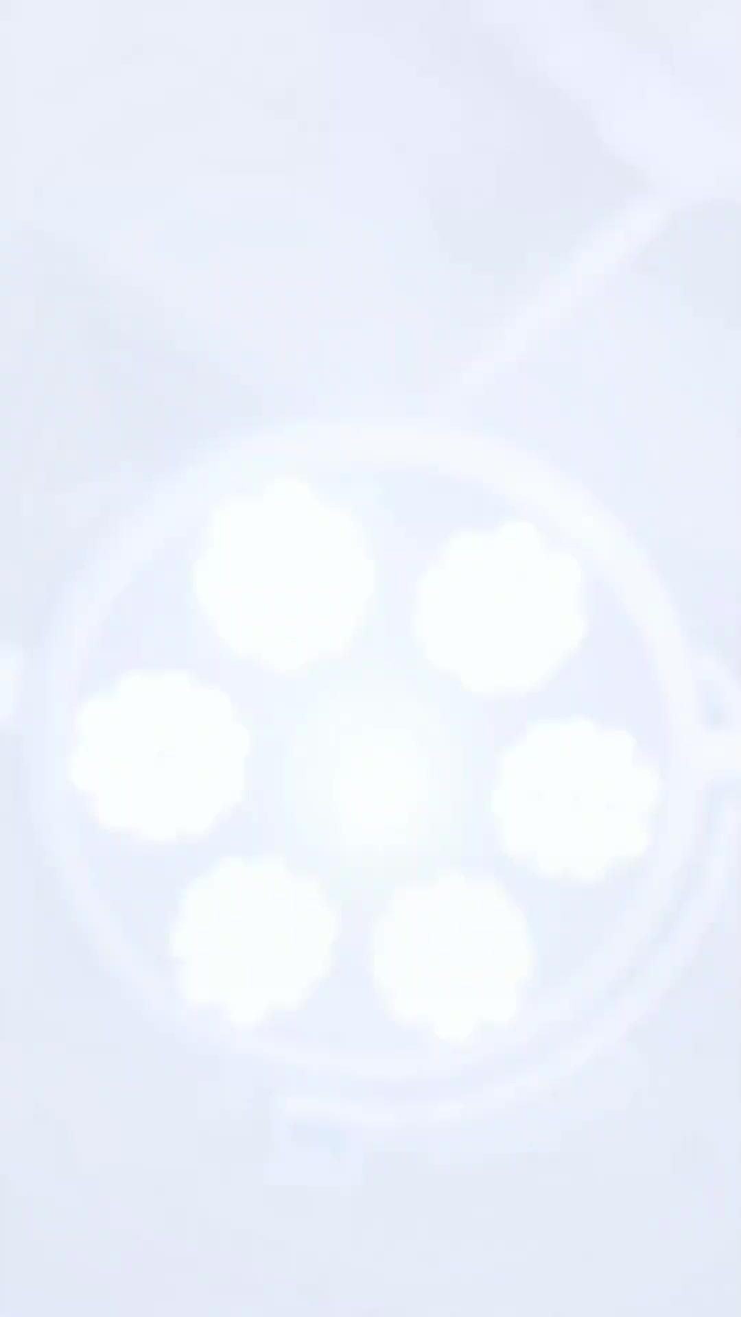 금욕 대표님의 유일한 여자