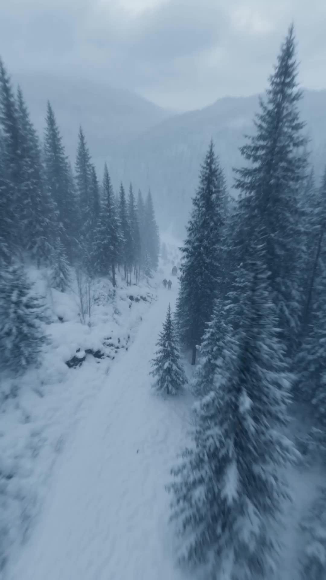 The Birch Bow Hunter
