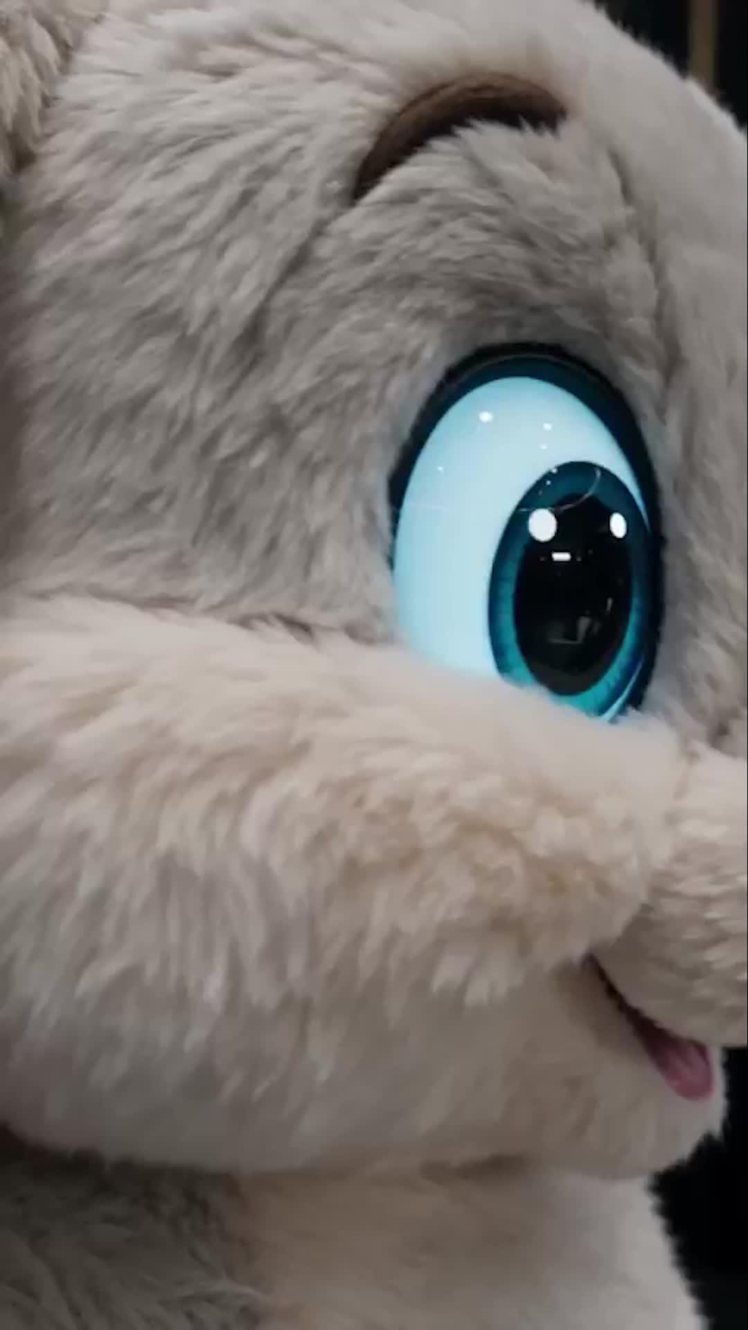 The Cheating Bunny