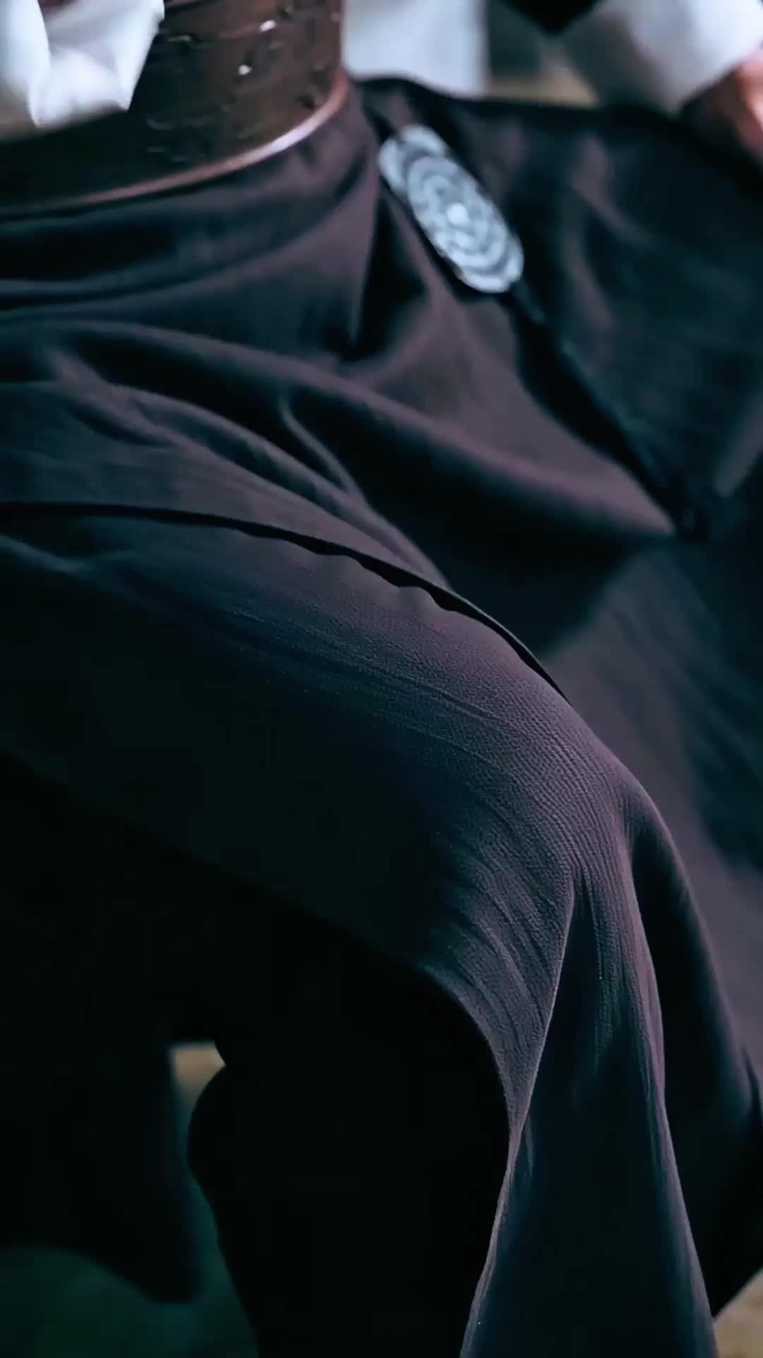 INTERDITE DE KUNG-FU