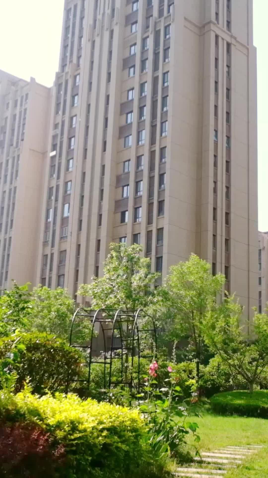 My CEO Next Door