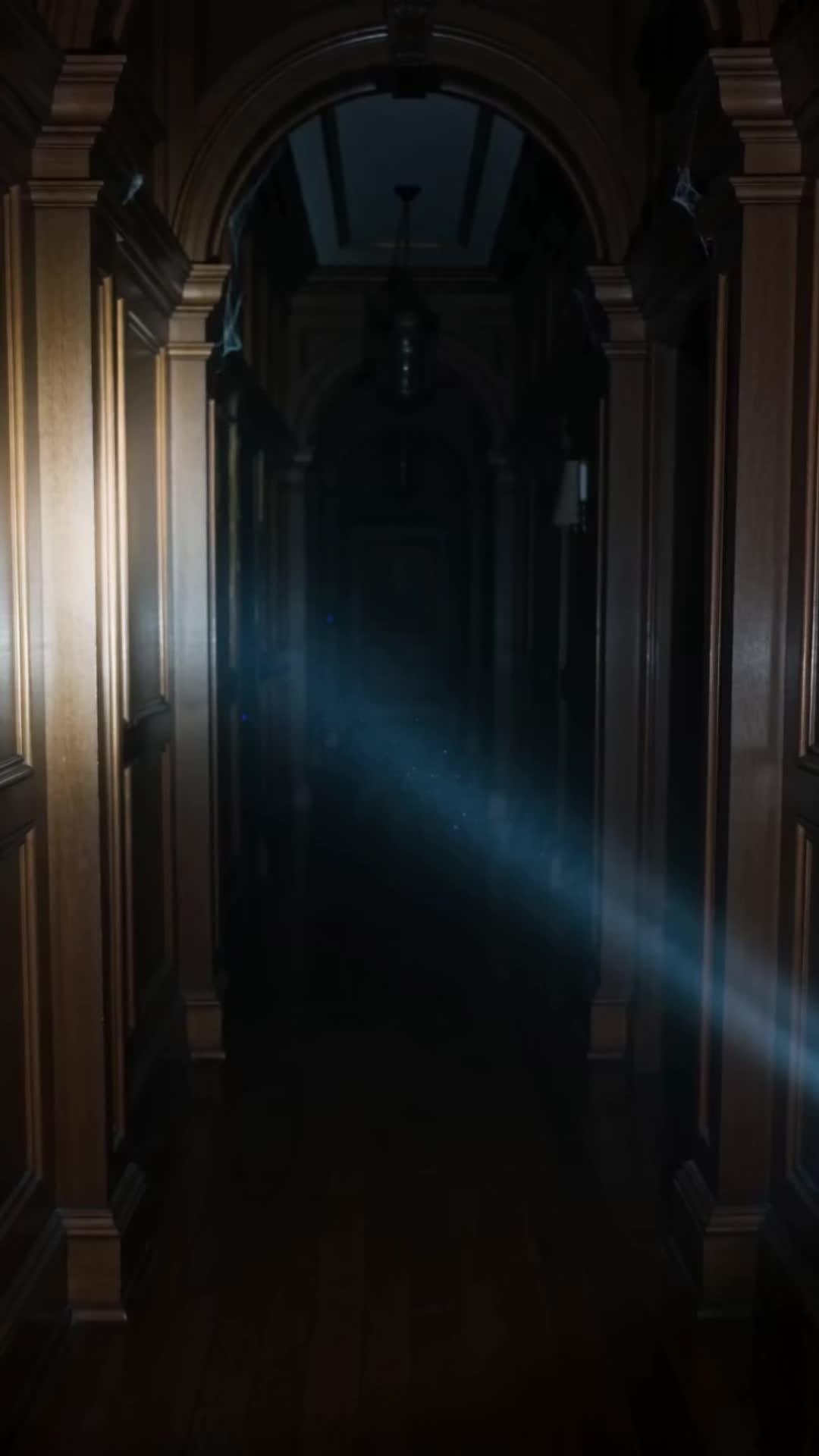 SOUS LES PROJECTEURS