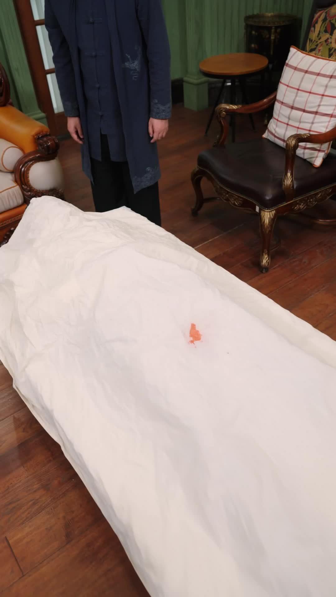 Ribut Di Sebalik Ceongsam