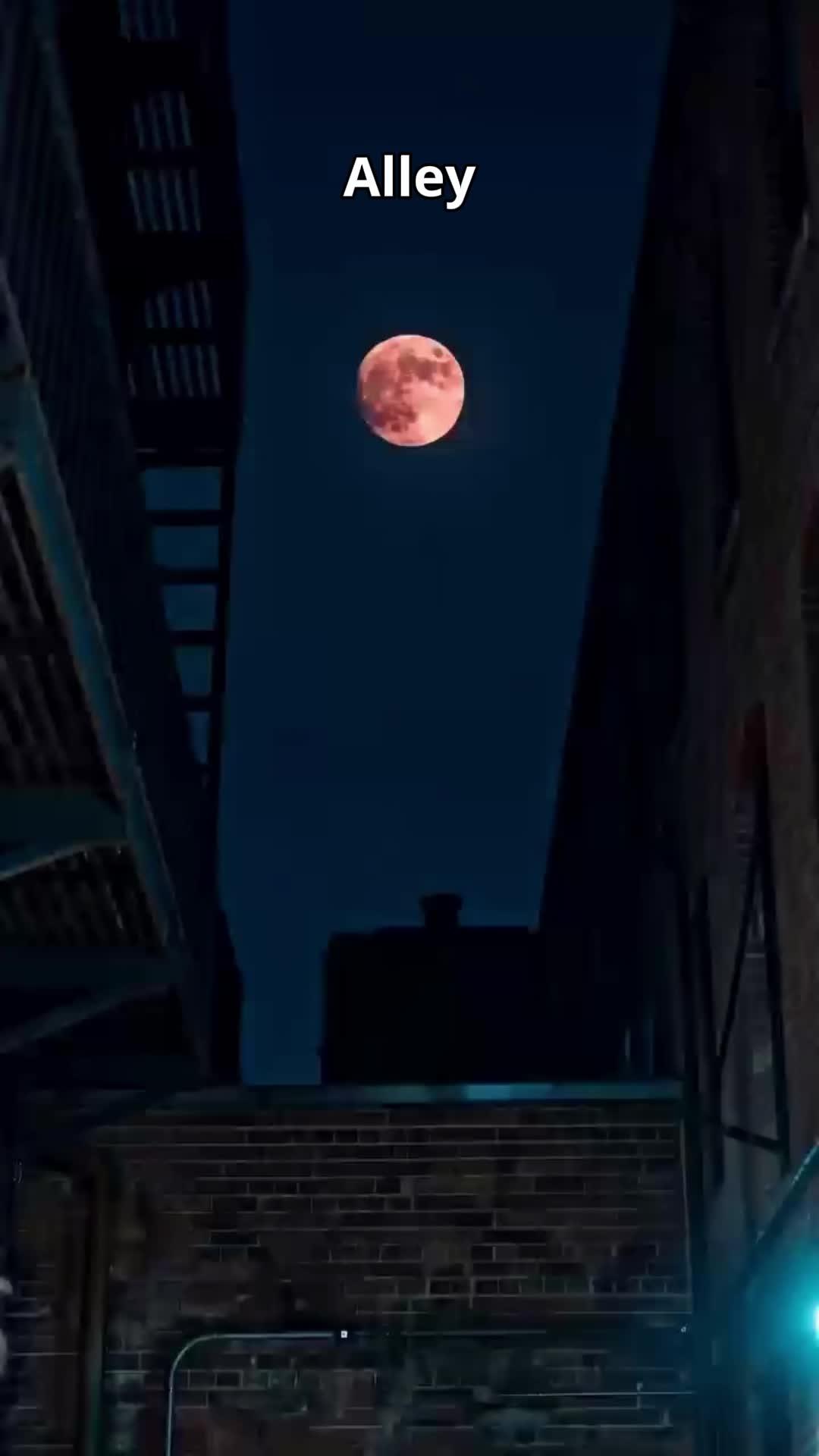 Sr. Vampiro & Sra. Caçadora de Vampiros
