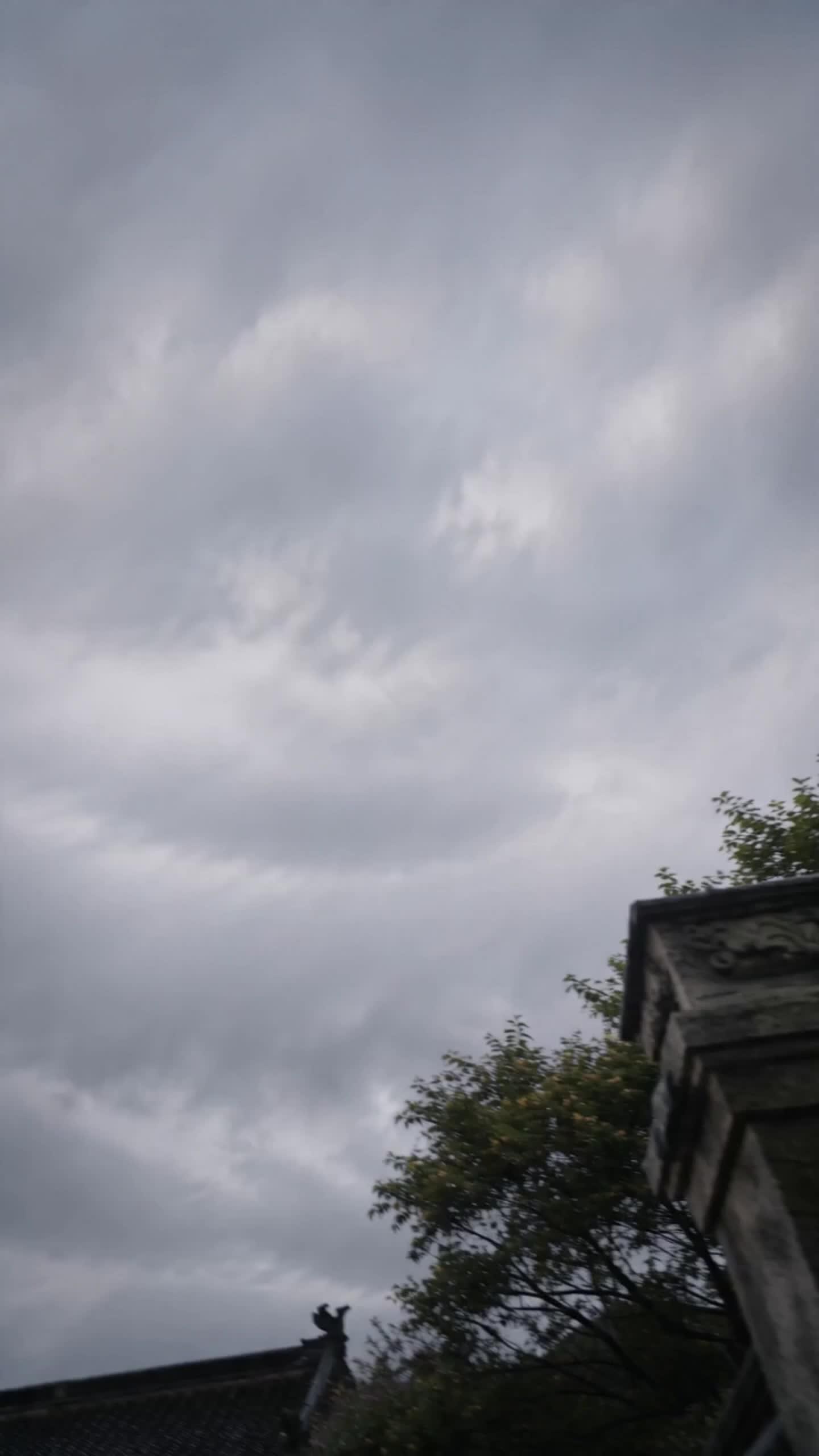 Kutukan Keindahan