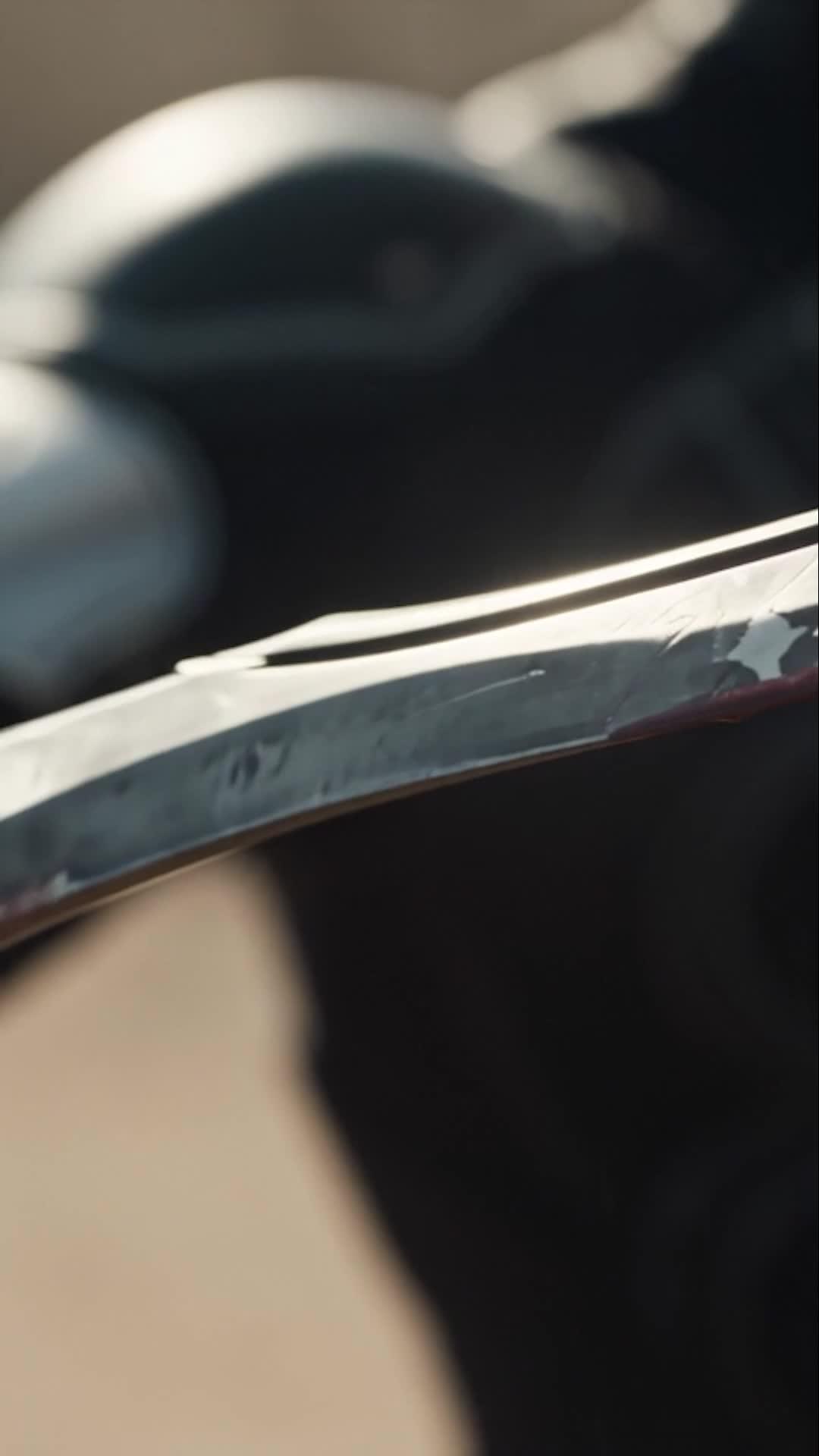 Desert’s Silent Blade