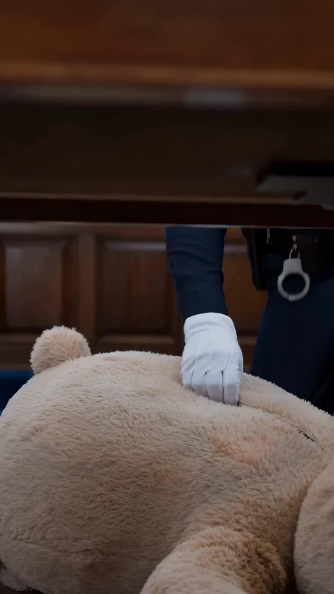 My Wife Cheated With a Teddy Bear