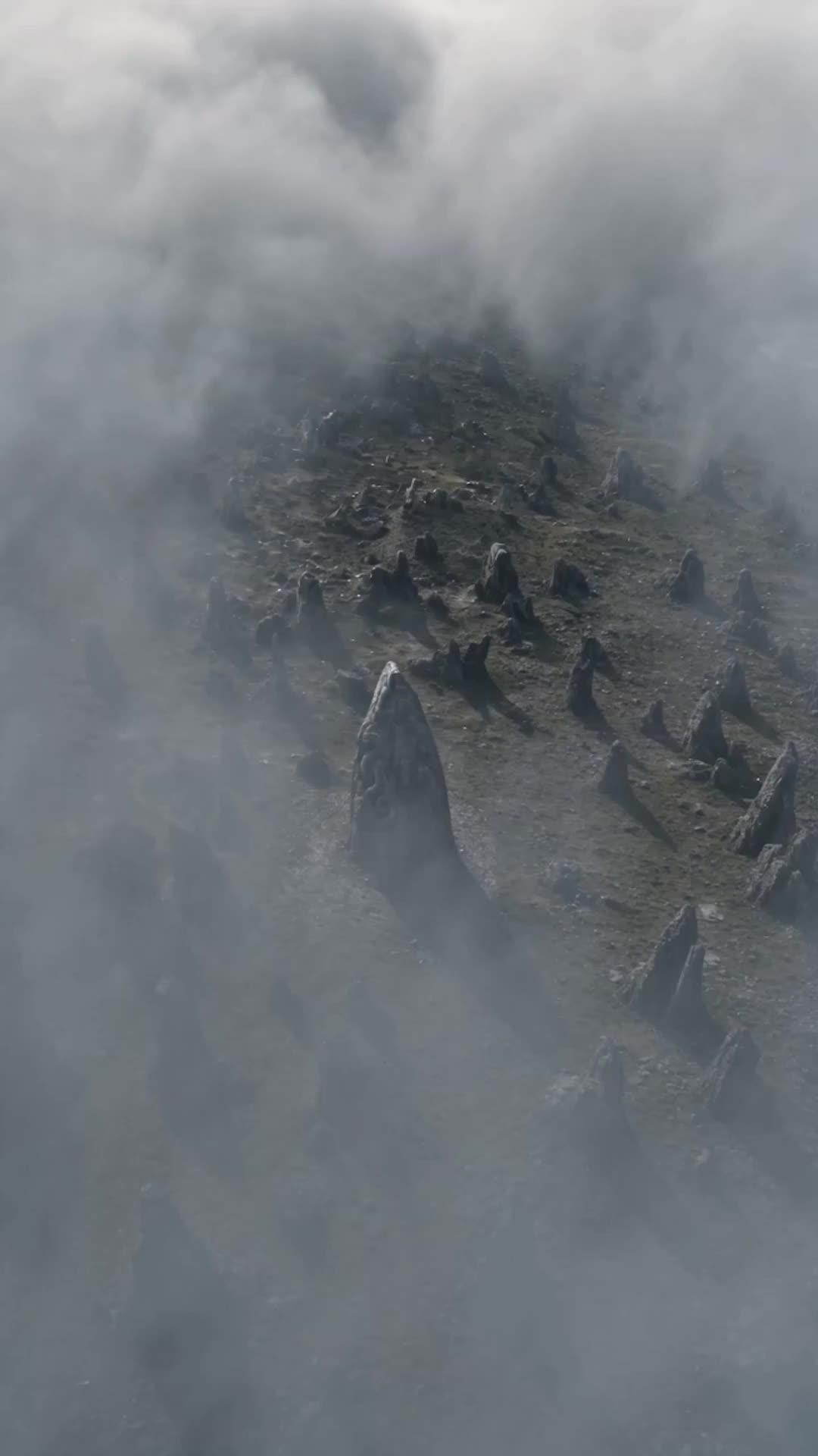 Black Dragon Comeback