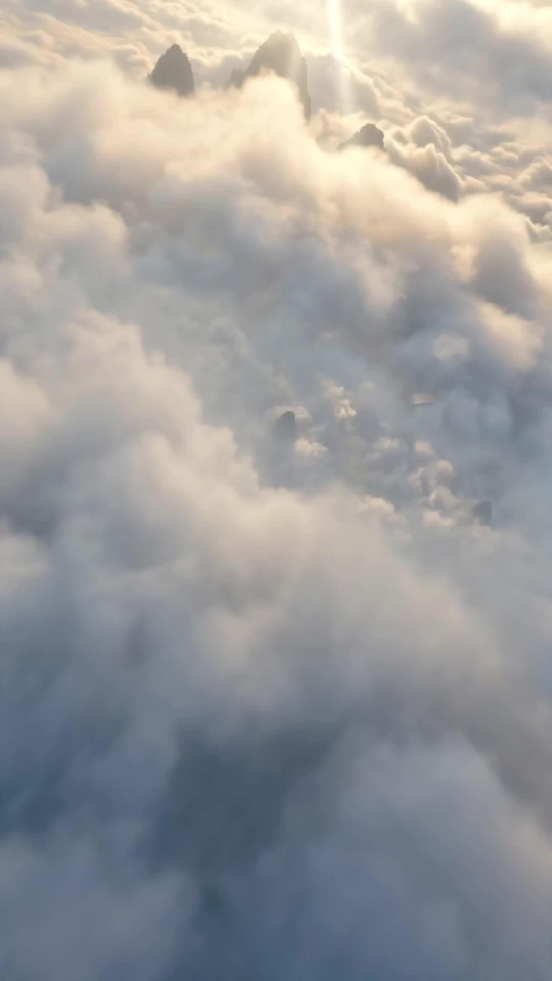 LA CHUTE DES TRAÎTRES