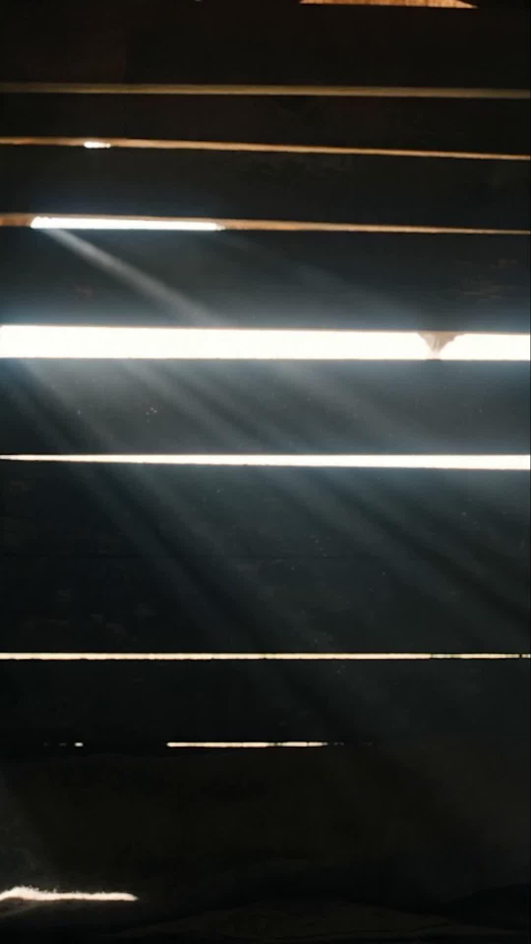 Star Prison