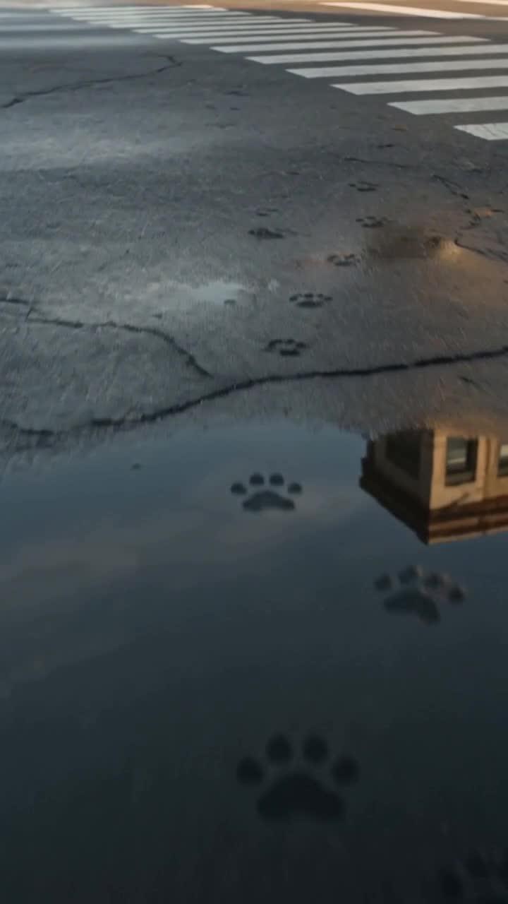 My ex-husband became a dog