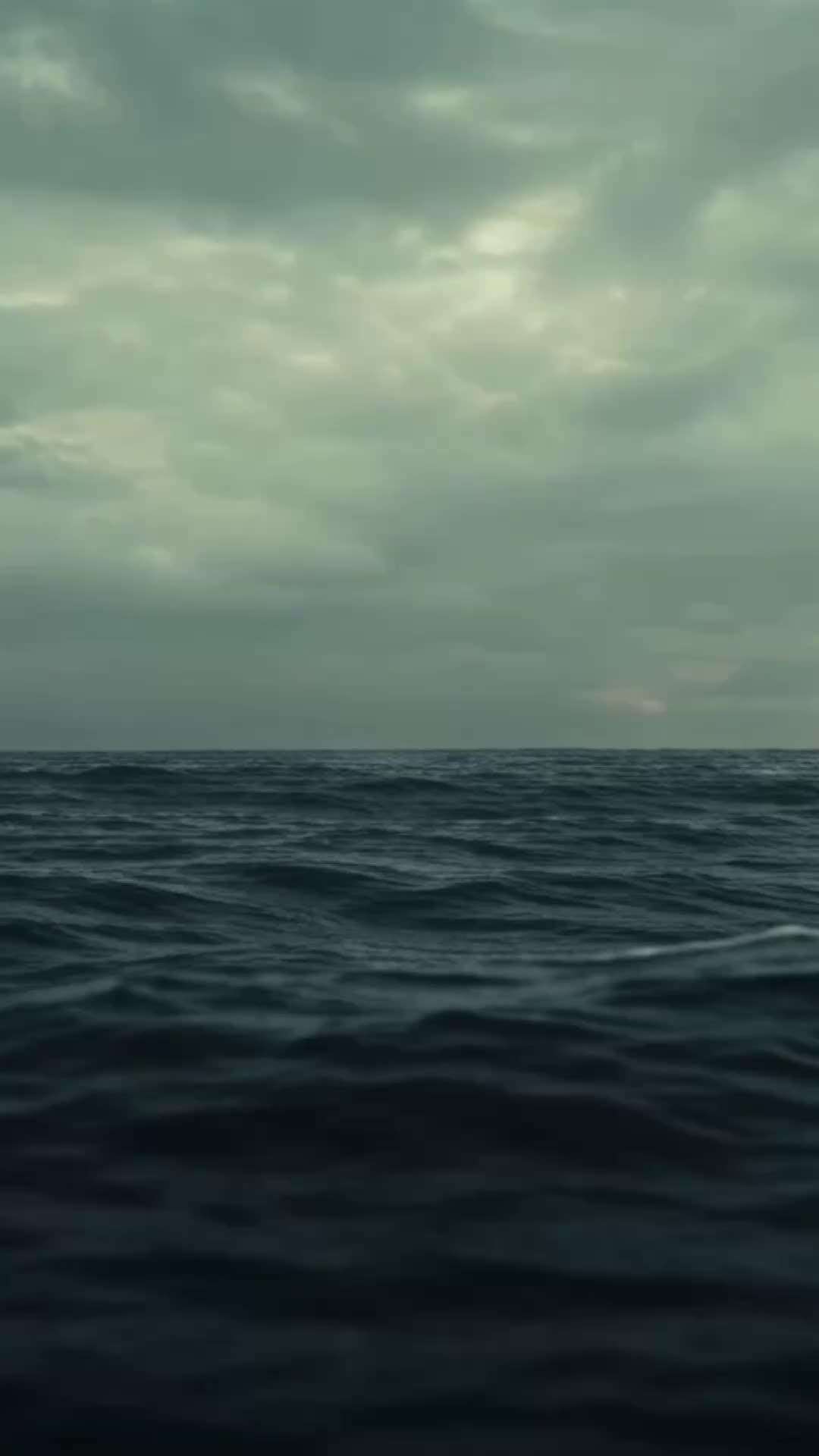 The Betrayed Ship Worker is the savior.