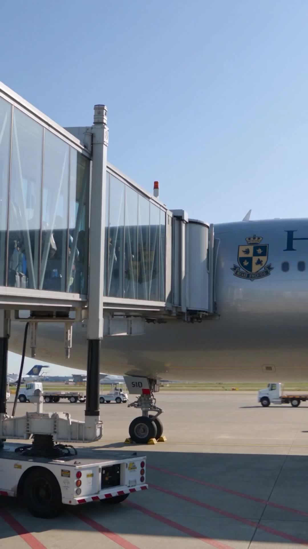 Time-Loop Flight: Minutes to Crash!