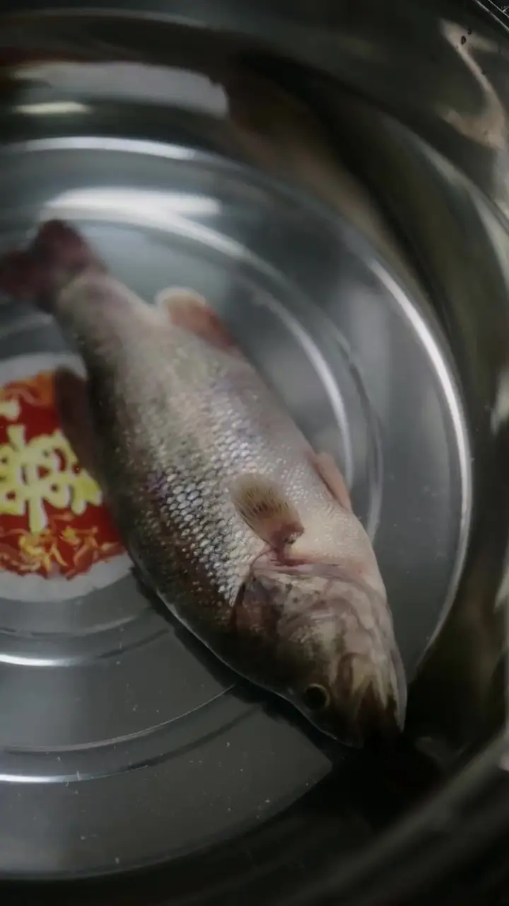 Episode 15