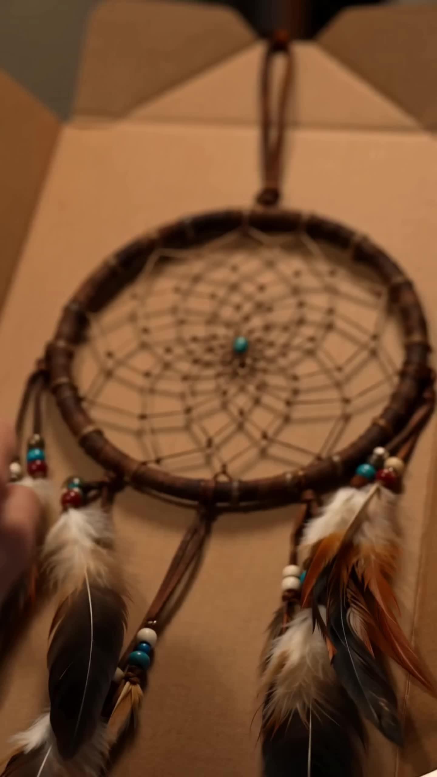 The Cursed Dreamcatcher
