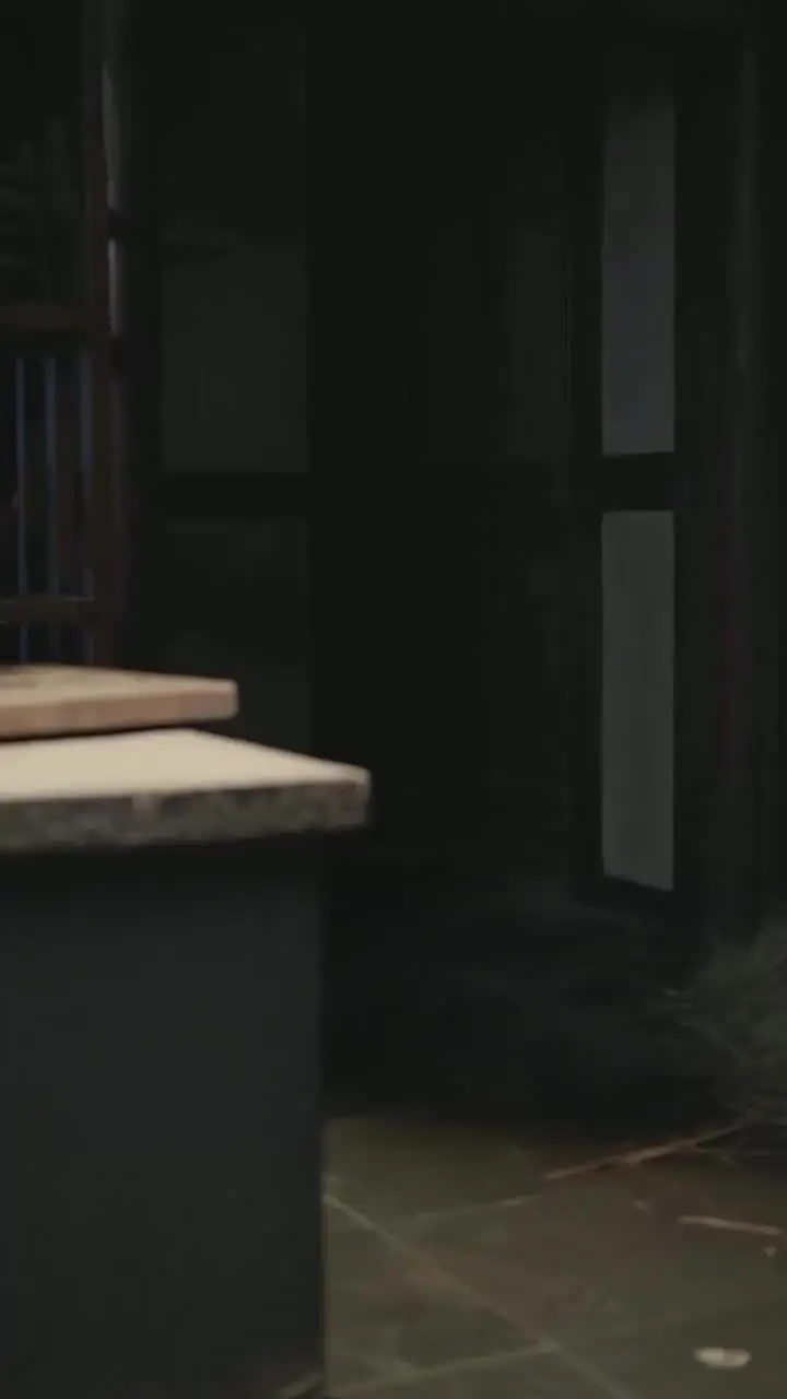 Episode 24