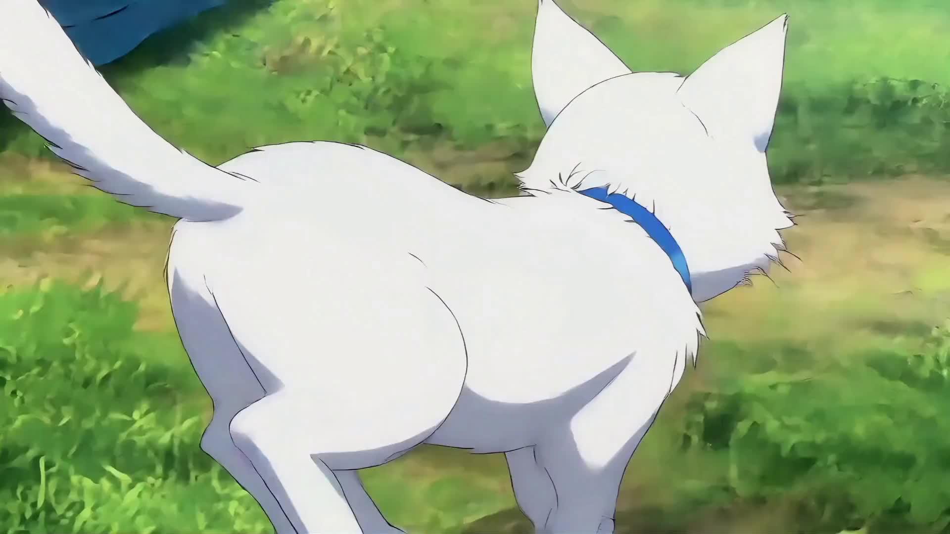 (Dubbed) Taming The Cursed Beauties