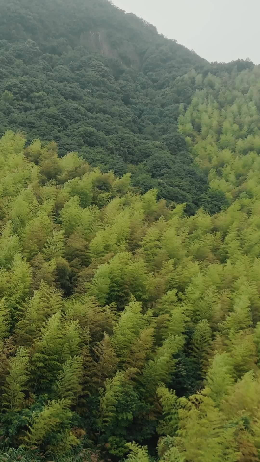 요상사