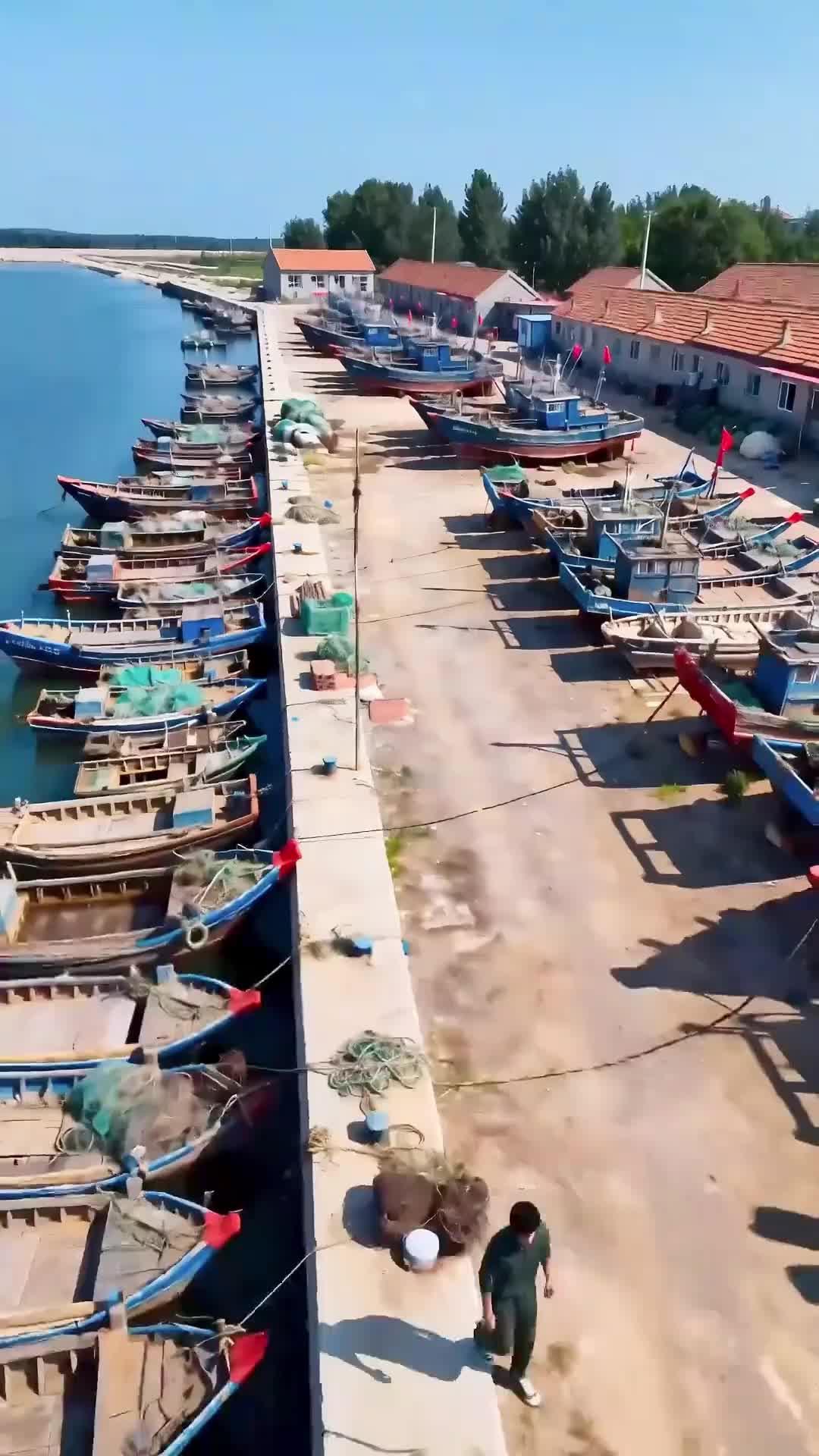 Denize Doğmak