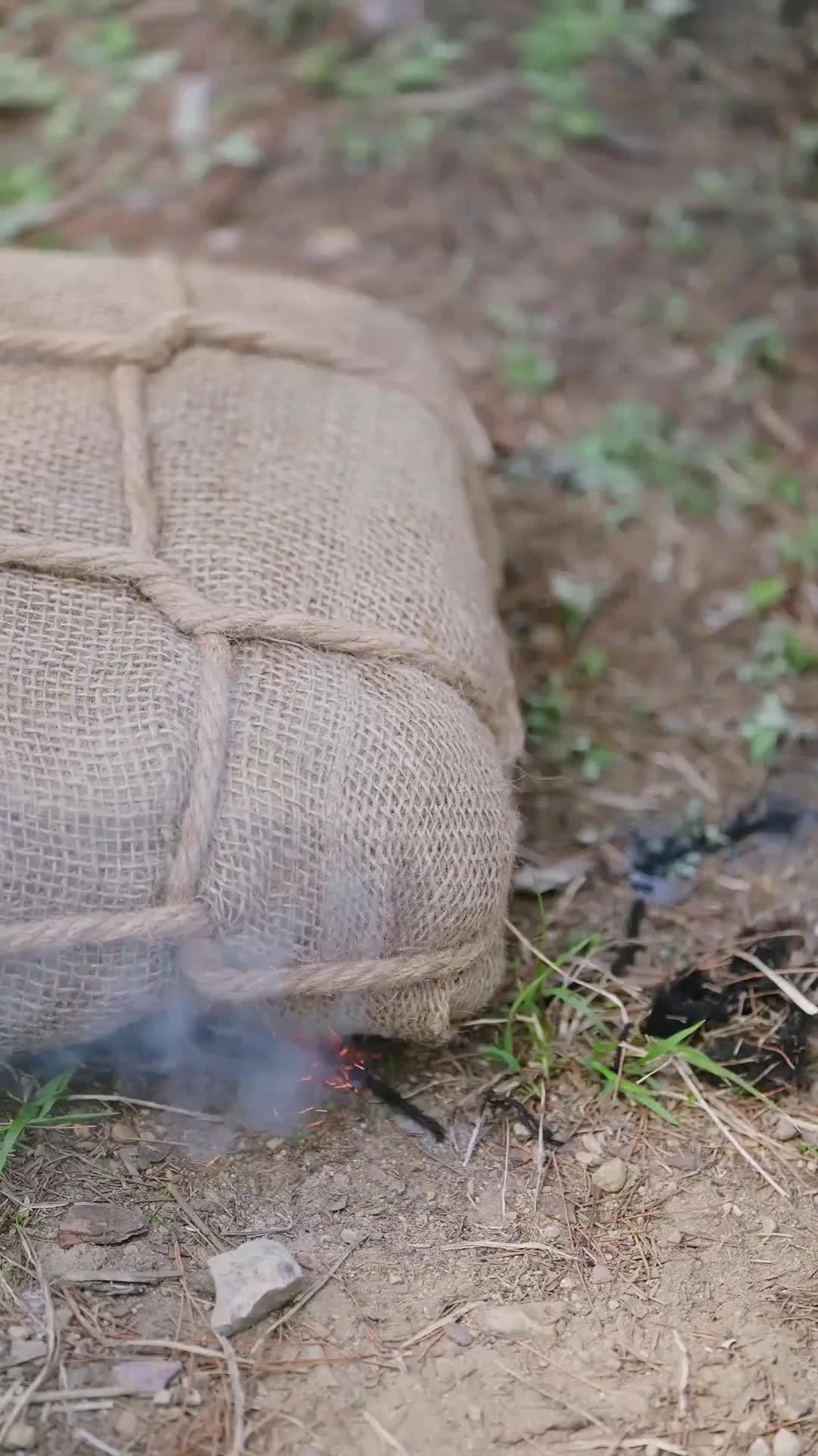 (Doublage) LE LETTRÉ MINABLE DEVIENT MAÎTRE IMPÉRIAL