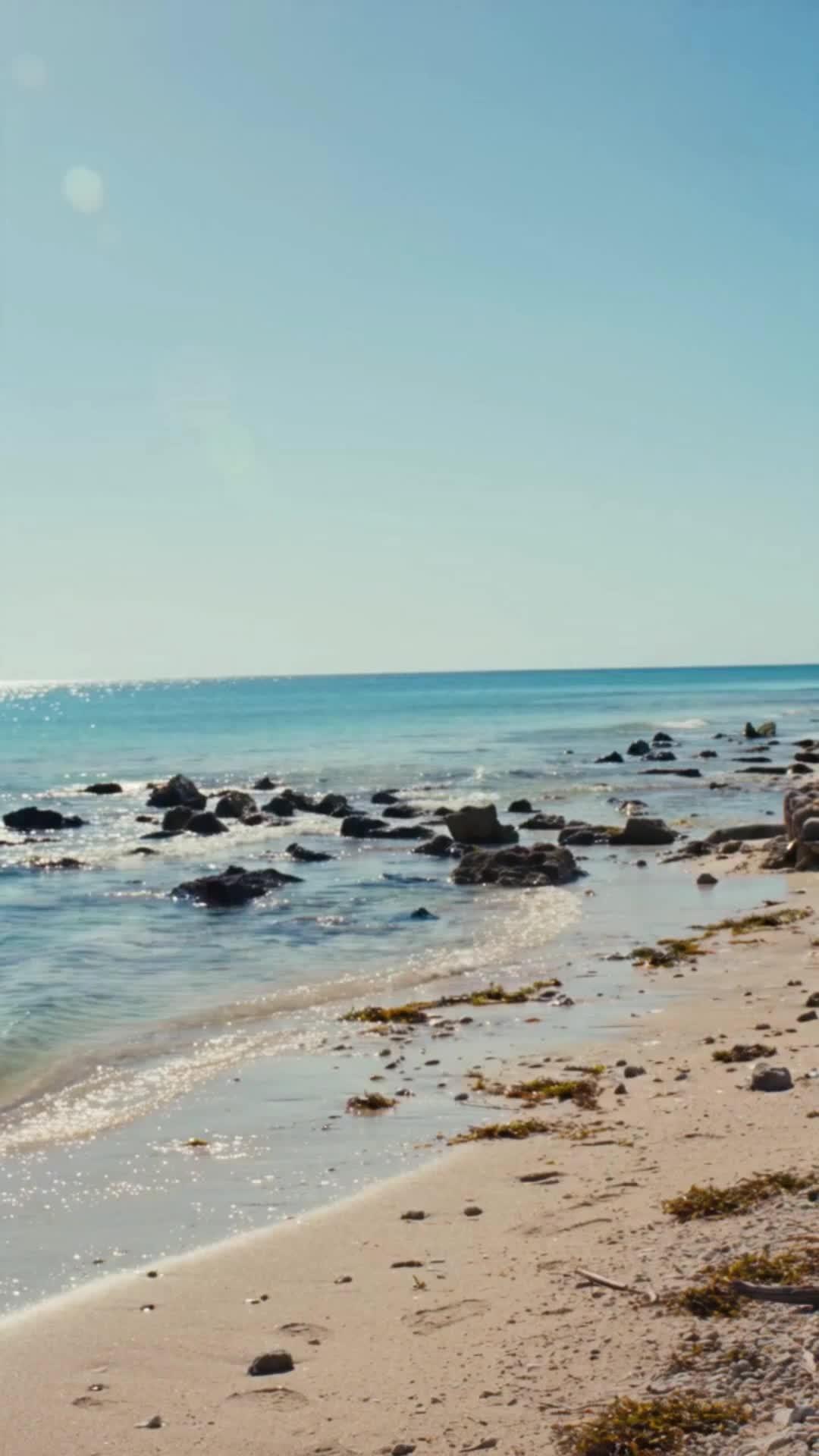 Tradito dallo Zio, Padrone del Mare