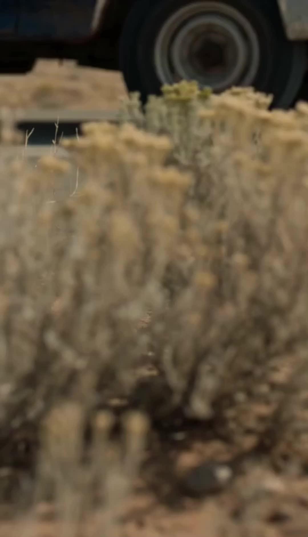 We Retrieve Our Boy