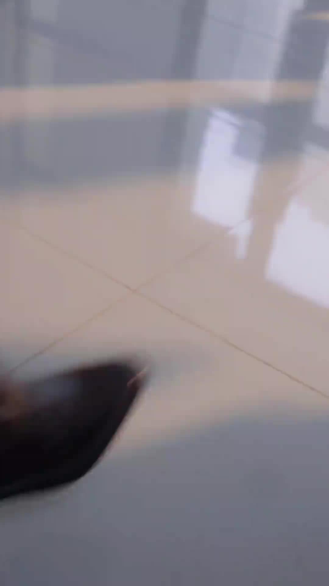 (Dubbed) Stay Away! She’s a Violent Psycho!