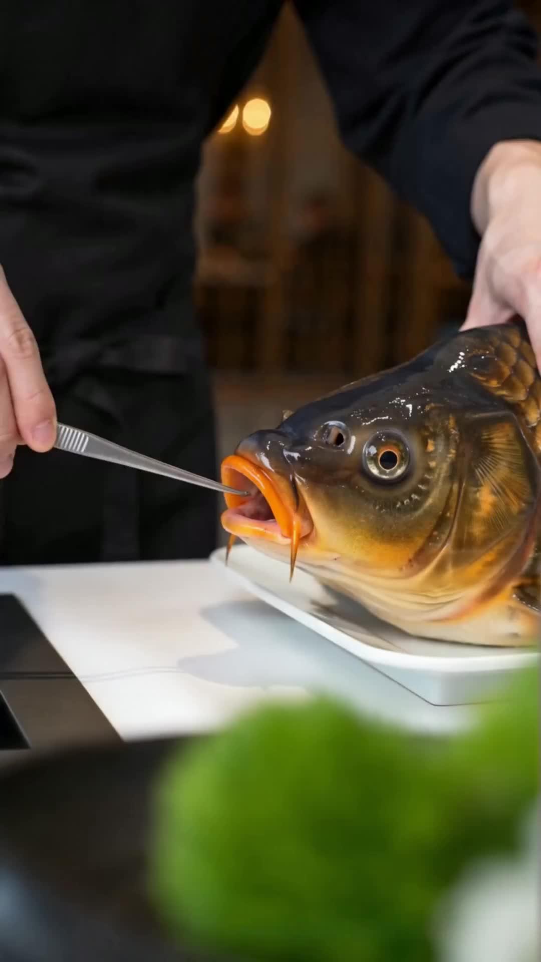 The Nameless Chef's Final Duel