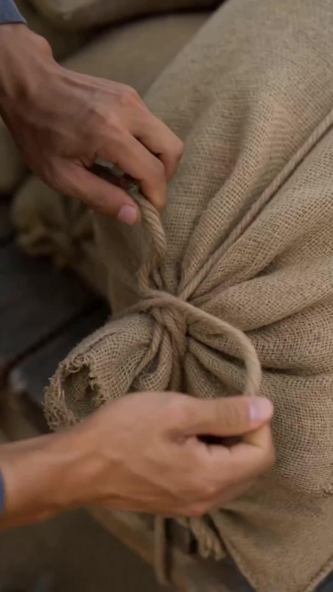 El rey de las semillas