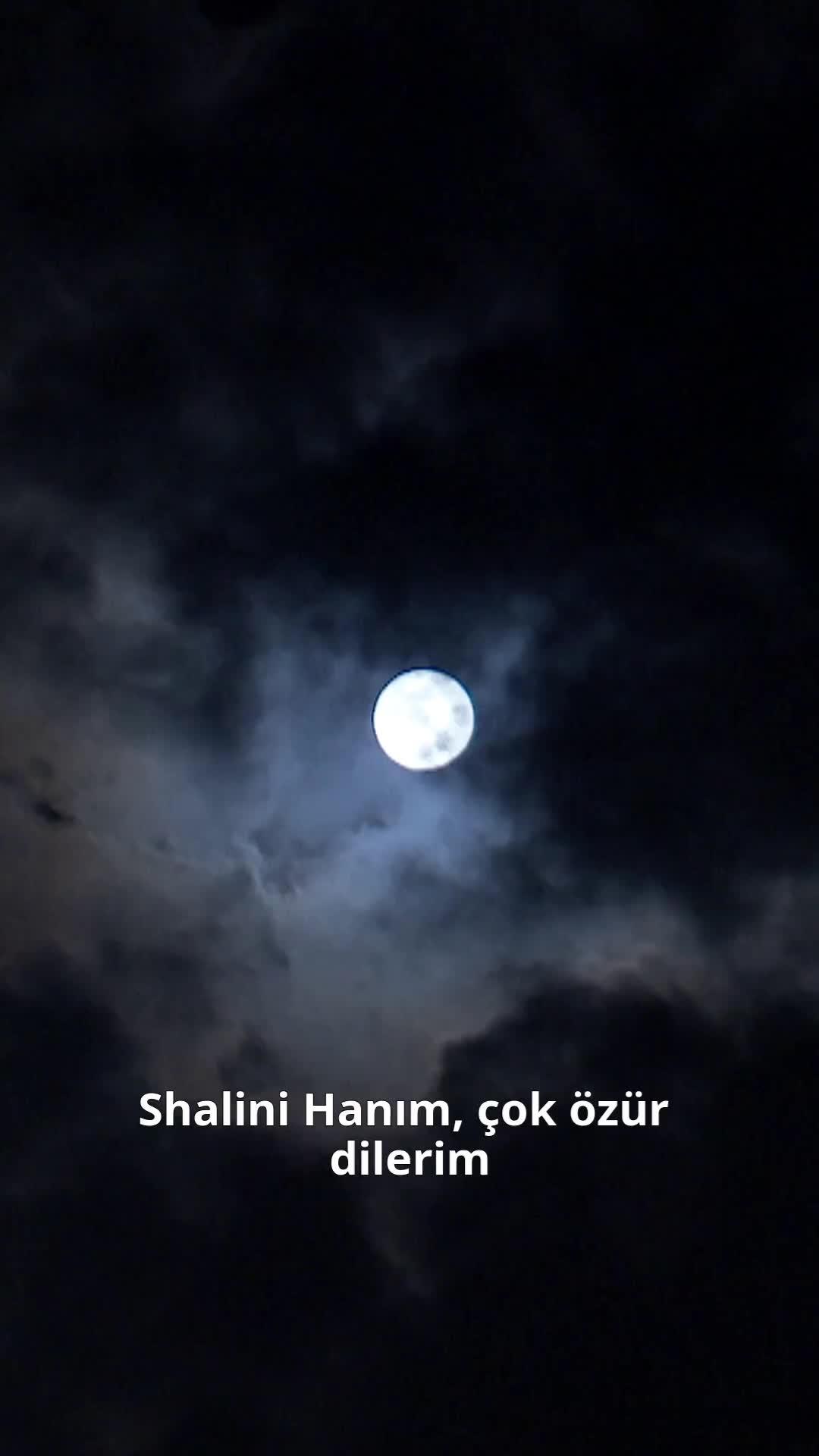 (Dublajlı) Milyarder Tuzağı