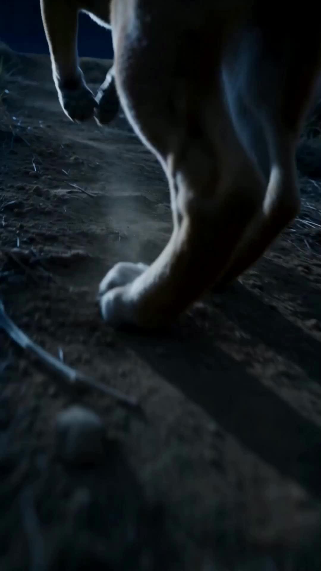 Killed Once, Back as a Dog