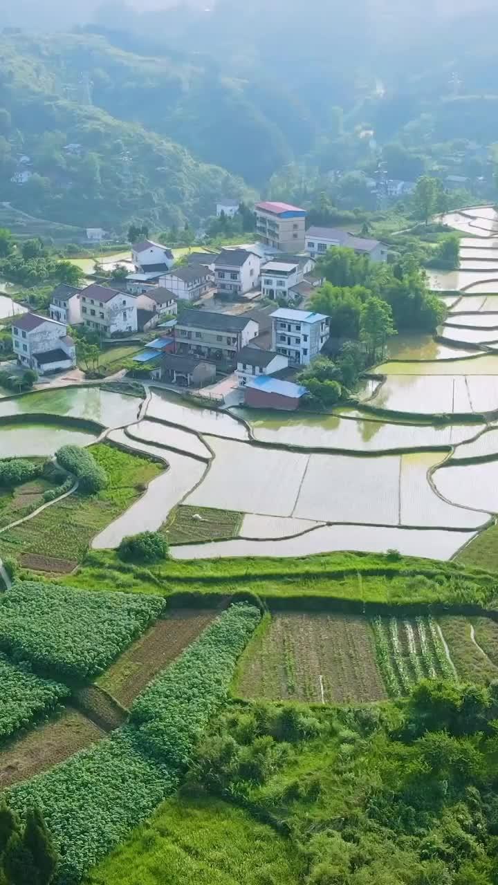 Veggie Husby Woke Up A Billionaire