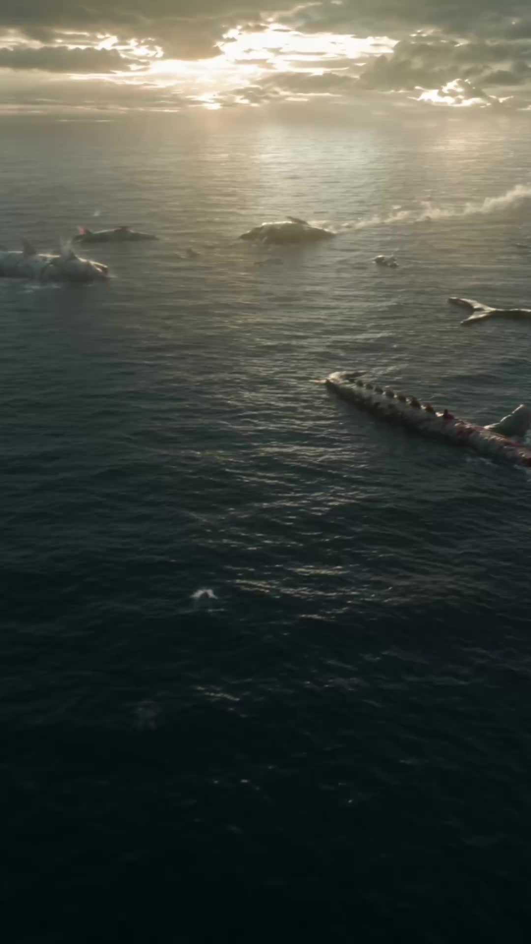 The Betrayed Ship Worker is the savior.