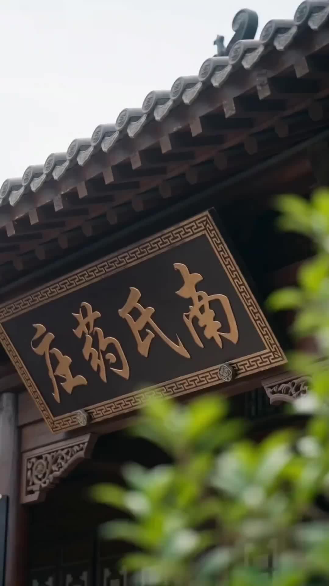 제희: 60년 만의 컴백