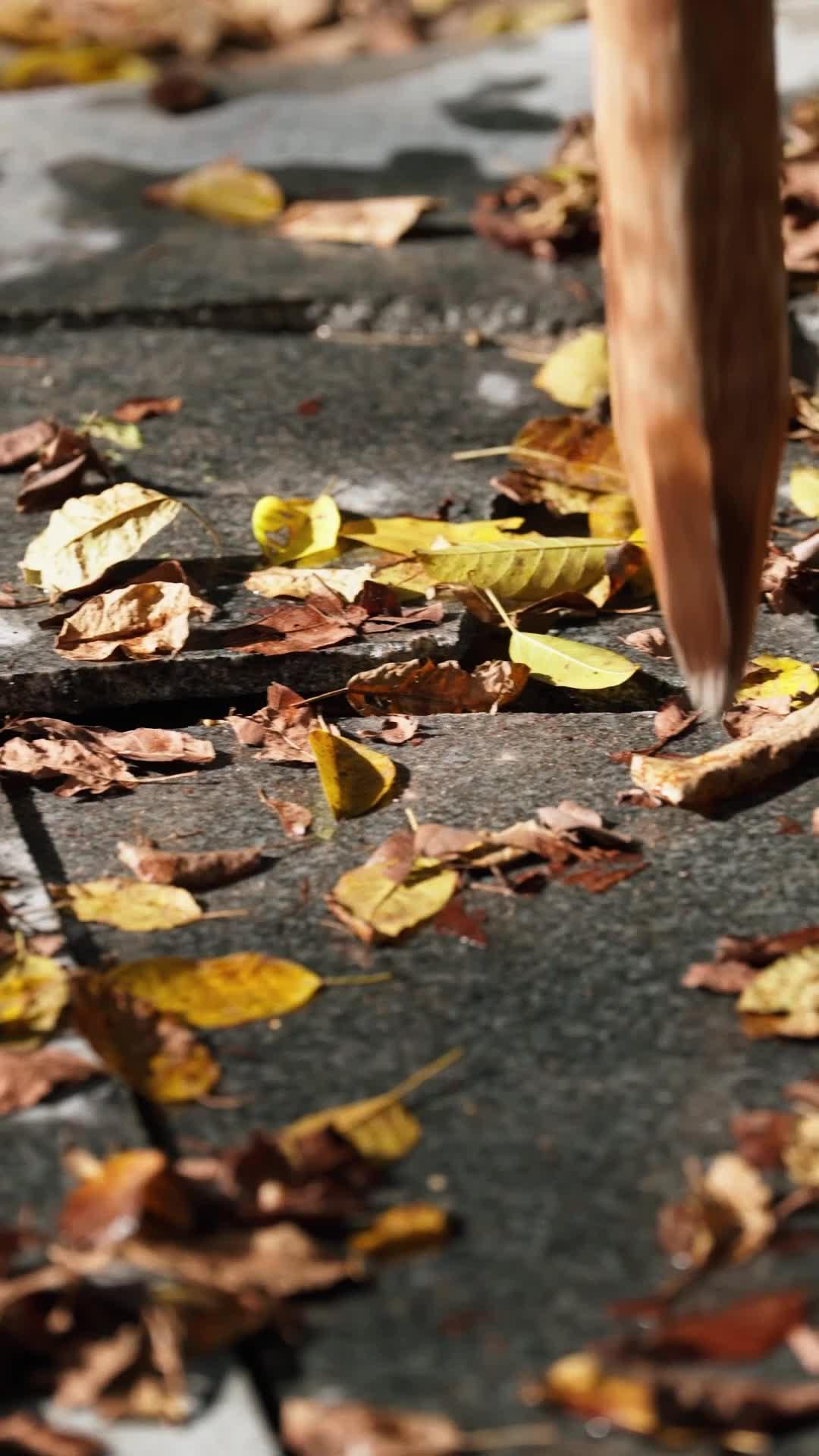 L'ASCENSEUR DE LA TRAHISON