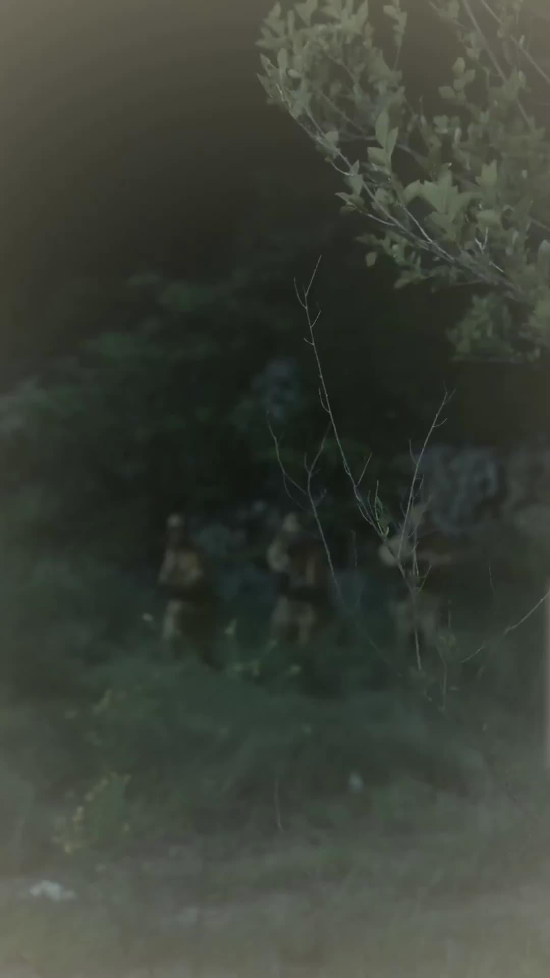 敕令！直播間有鬼