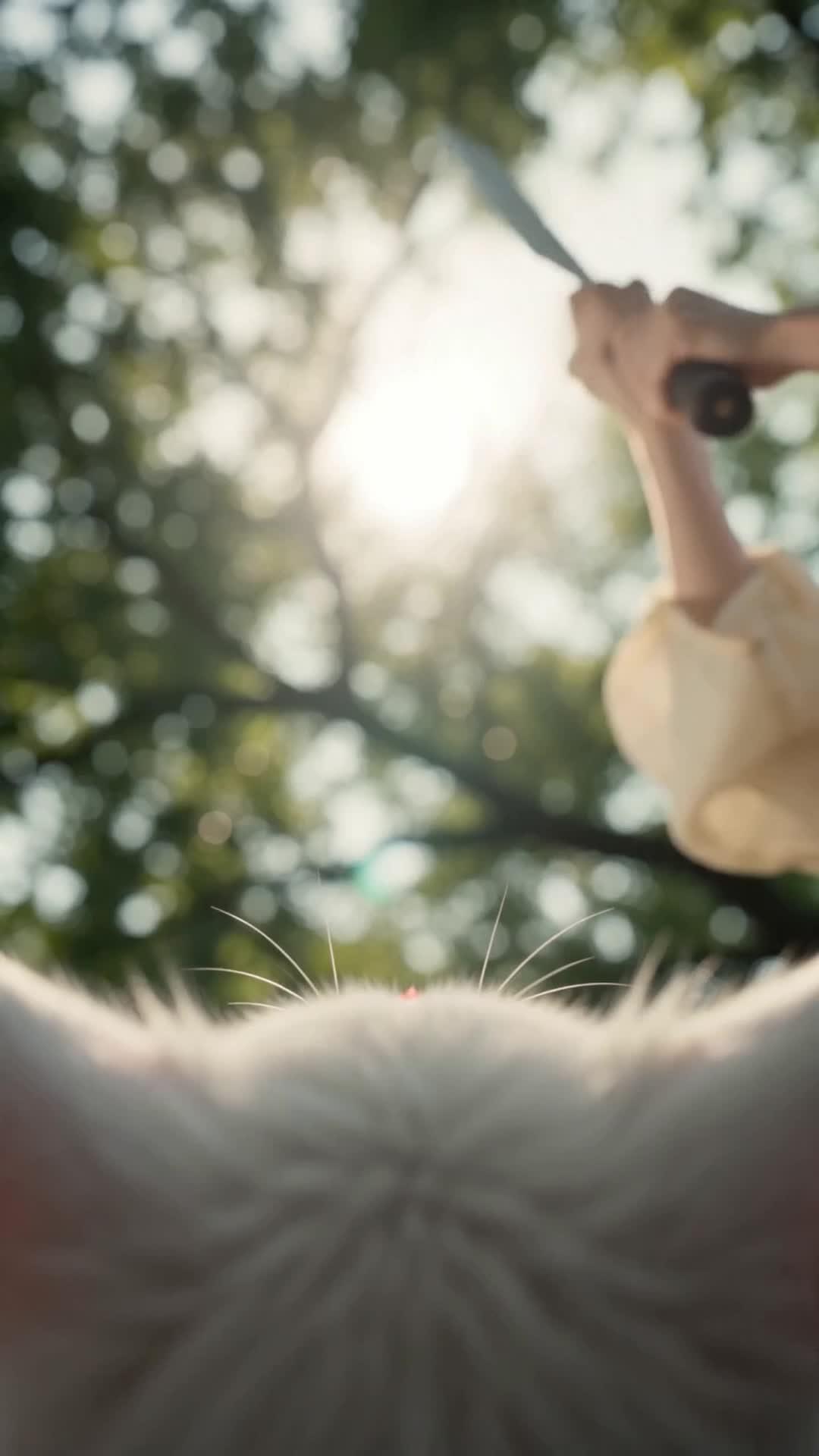A Raposa Imortal e o Rei Reencarnado