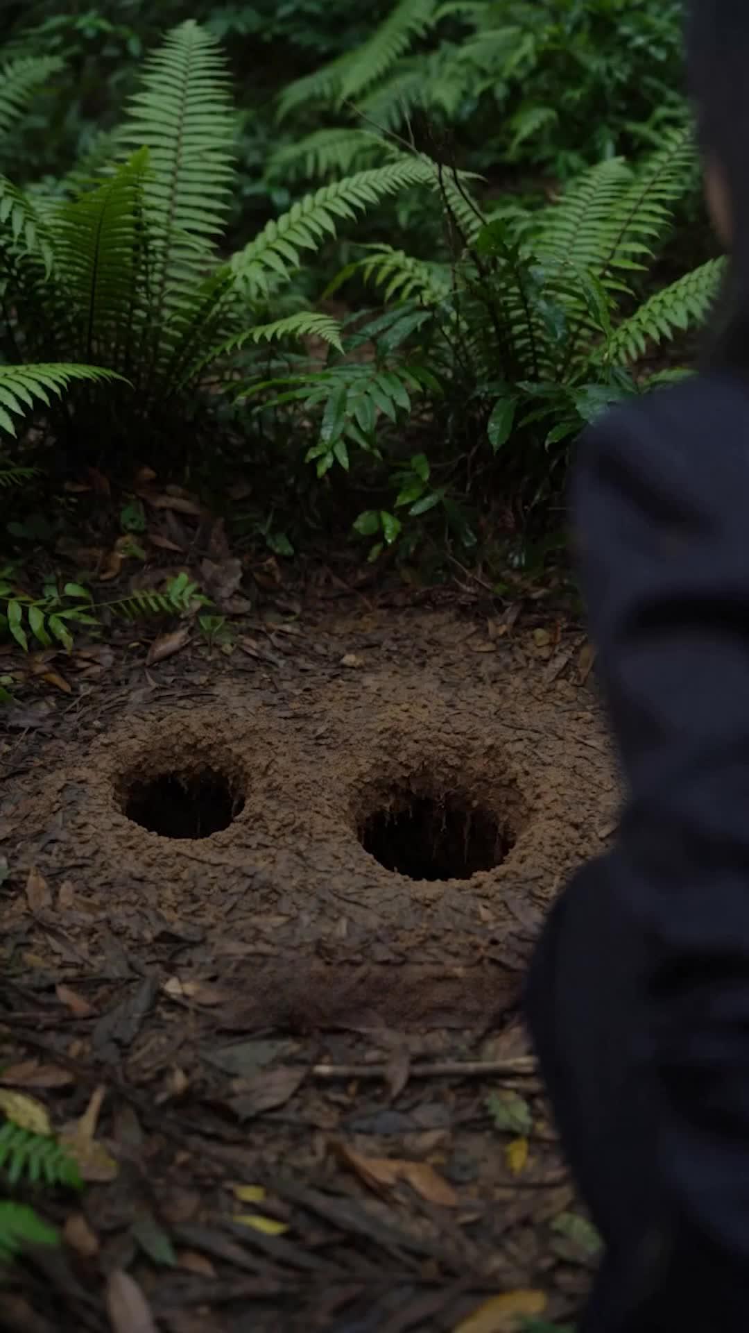 Surviving The Monster Island