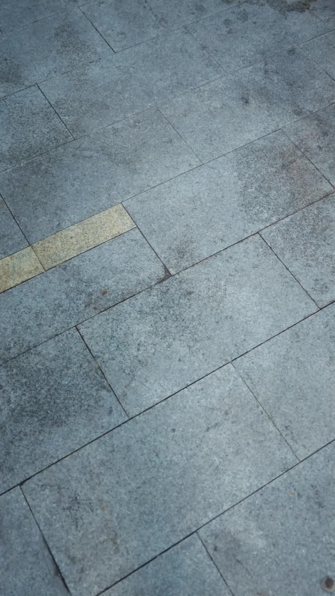 Niente Più Sottomessa