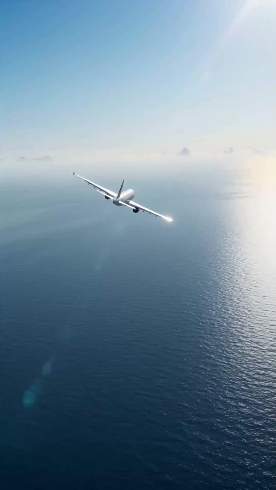 The Cleaner Is An Ace Pilot