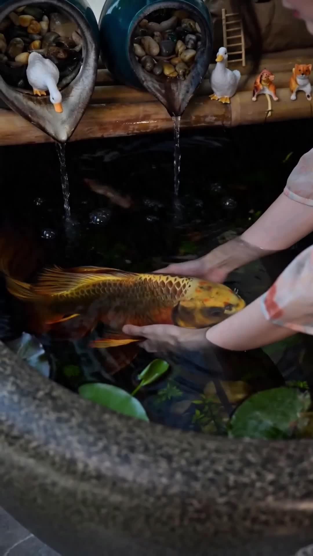 Resep Cinta Sang Koki