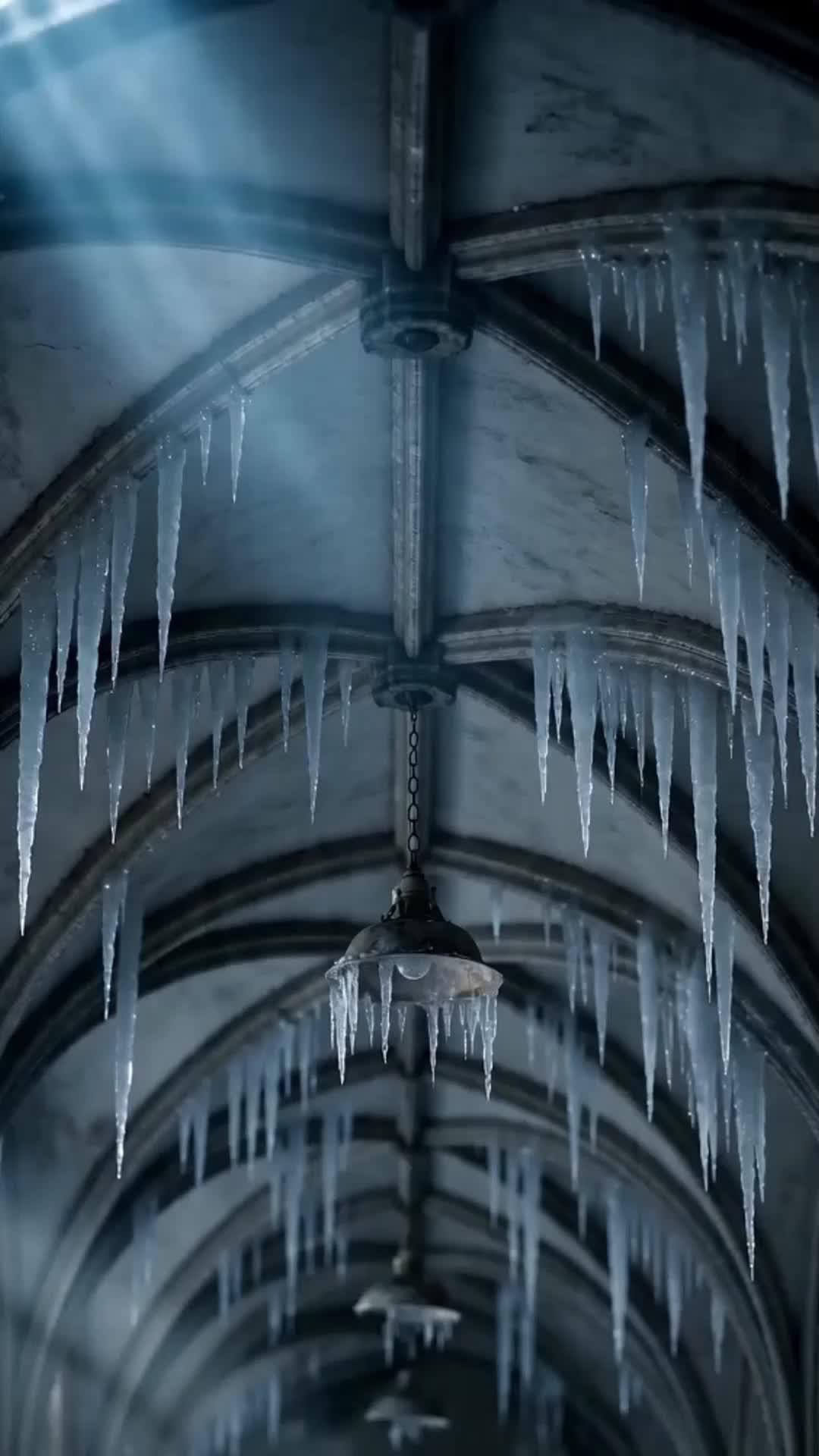Der Herr der Dämoninnen