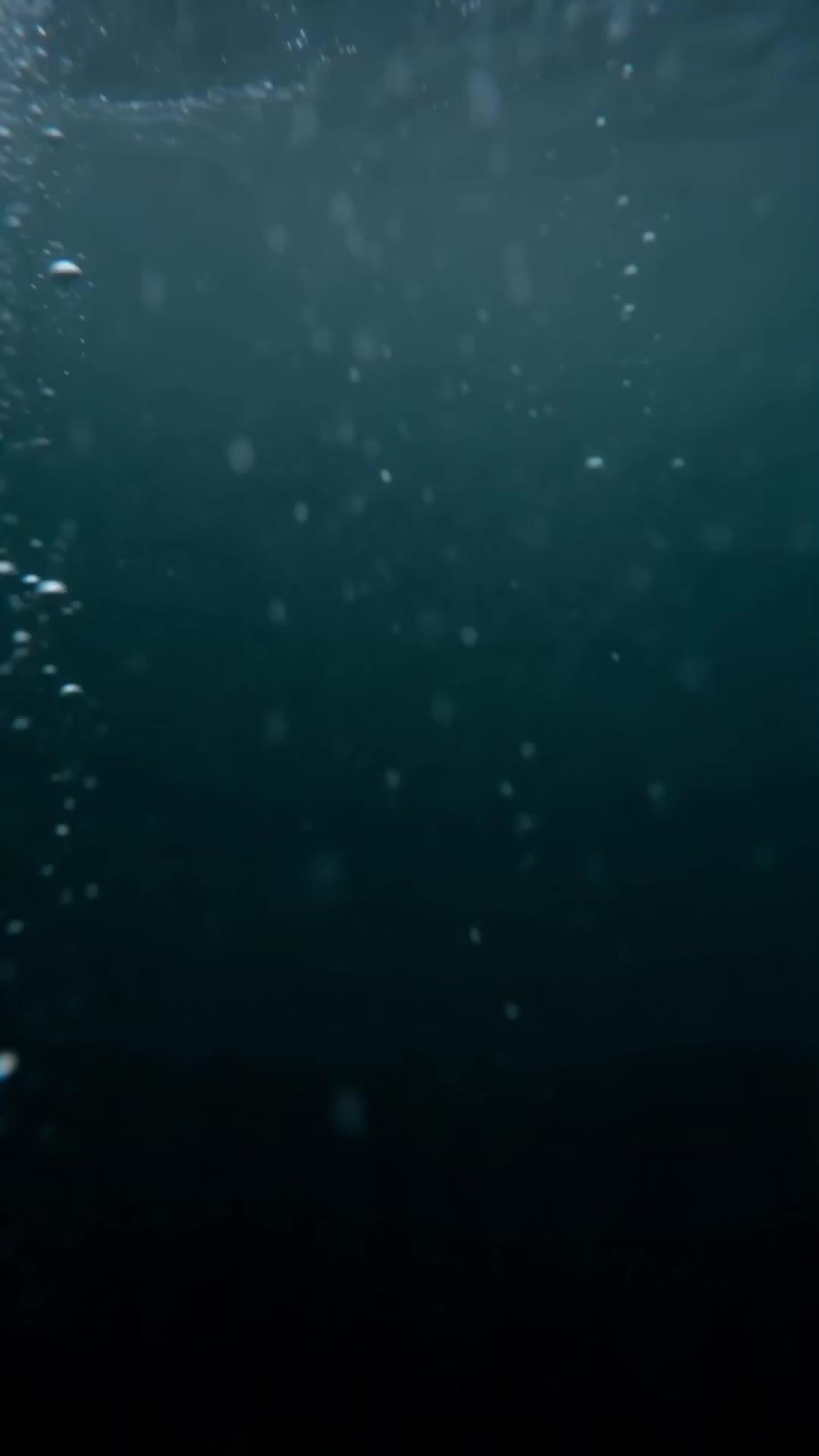 Sea’s Blessing Makes Me a Billionaire