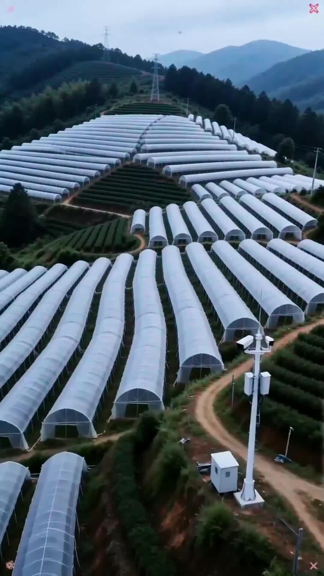 Kebaikan Dibalas Fitnah