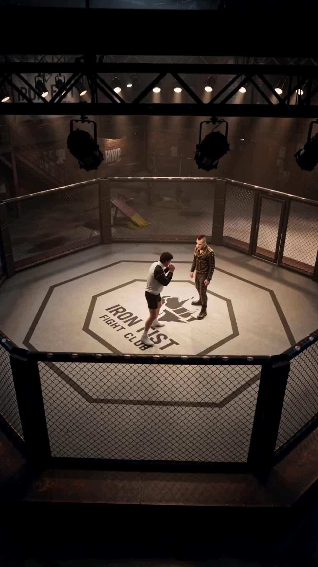 Boxer Proficient In Kungfu